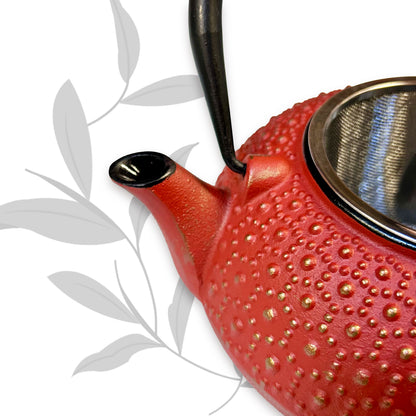 Turtle shell 1000ml (33oz)