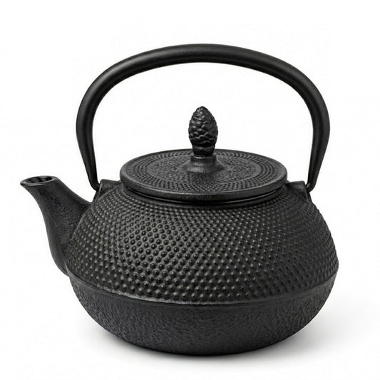 Cuisiland 450ml/15oz Hobnail Cast Iron Teapot with Infuser
