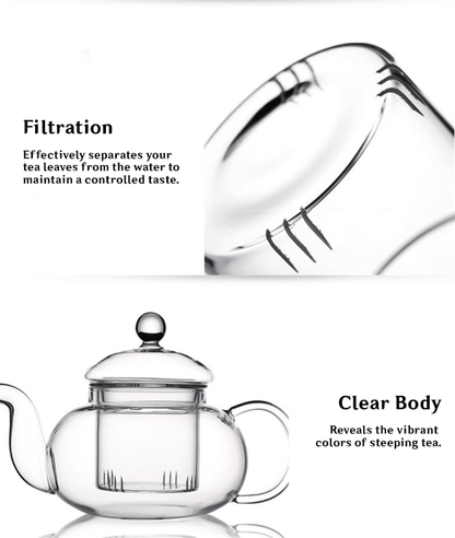 Borosilicate Glass Teapot 6 Cups Set (1000 ml)